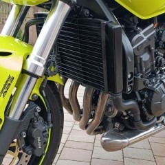 Honda Hornet
