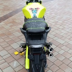 Honda Hornet