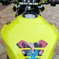 Honda Hornet