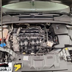 Ford Focus 1.6 Gold X (Edition)