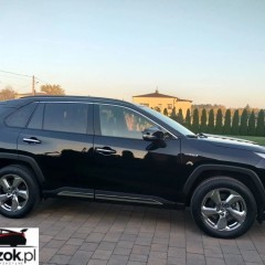 Toyota RAV4 2.5 Hybrid Executive 4x4