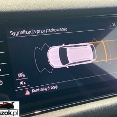 Skoda Kodiaq 2.0 Bi-TDI 4x4 RS DSG