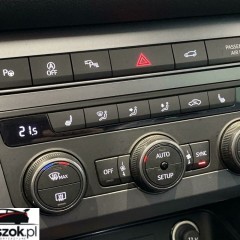 Cupra Ateca 2.0 TSI 4Drive DSG