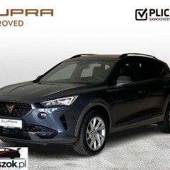 Cupra Formentor 2.0 TSI 4Drive DSG