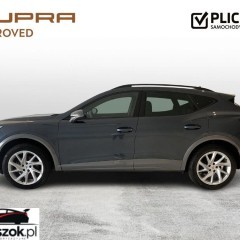 Cupra Formentor 2.0 TSI 4Drive DSG