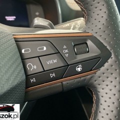 Cupra Formentor 2.0 TSI 4Drive DSG