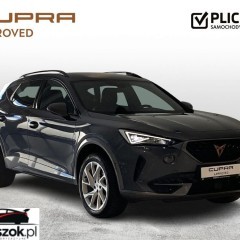 Cupra Formentor 2.0 TSI 4Drive DSG