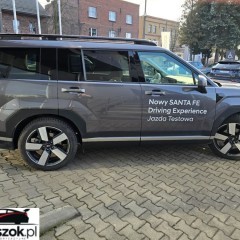 Hyundai Santa Fe 1.6 T-GDI HEV Platinum 4WD 7os