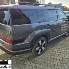 Hyundai Santa Fe 1.6 T-GDI HEV Platinum 4WD 7os