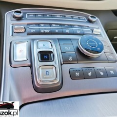 Hyundai Santa Fe 1.6 T-GDI HEV Platinum 4WD