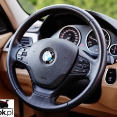 BMW Seria 3 318d Edition Luxury Line Purity